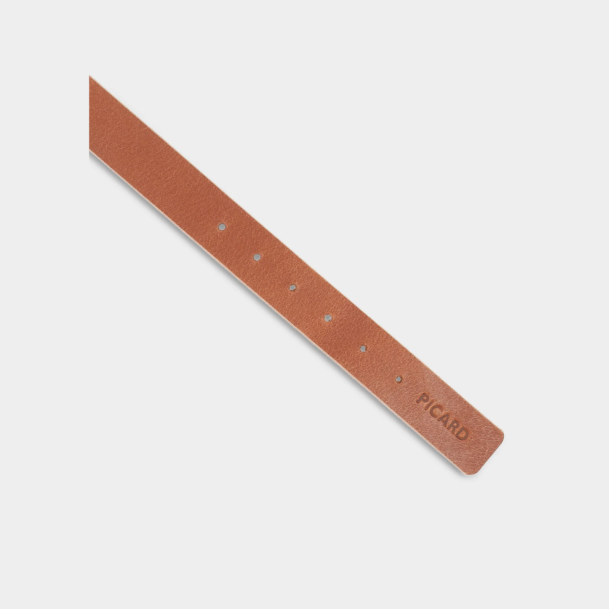Hundehalsband Dog Collar Strolch Größe L R130 - Image 3