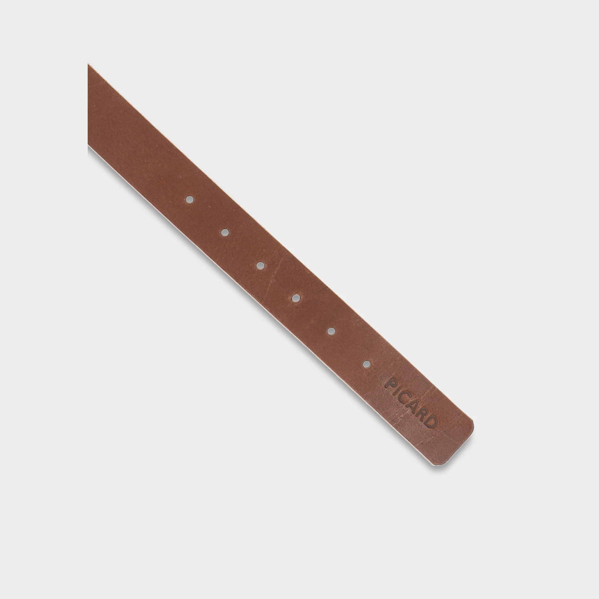 Hundehalsband Dog Collar Strolch Größe L R130 - Image 3