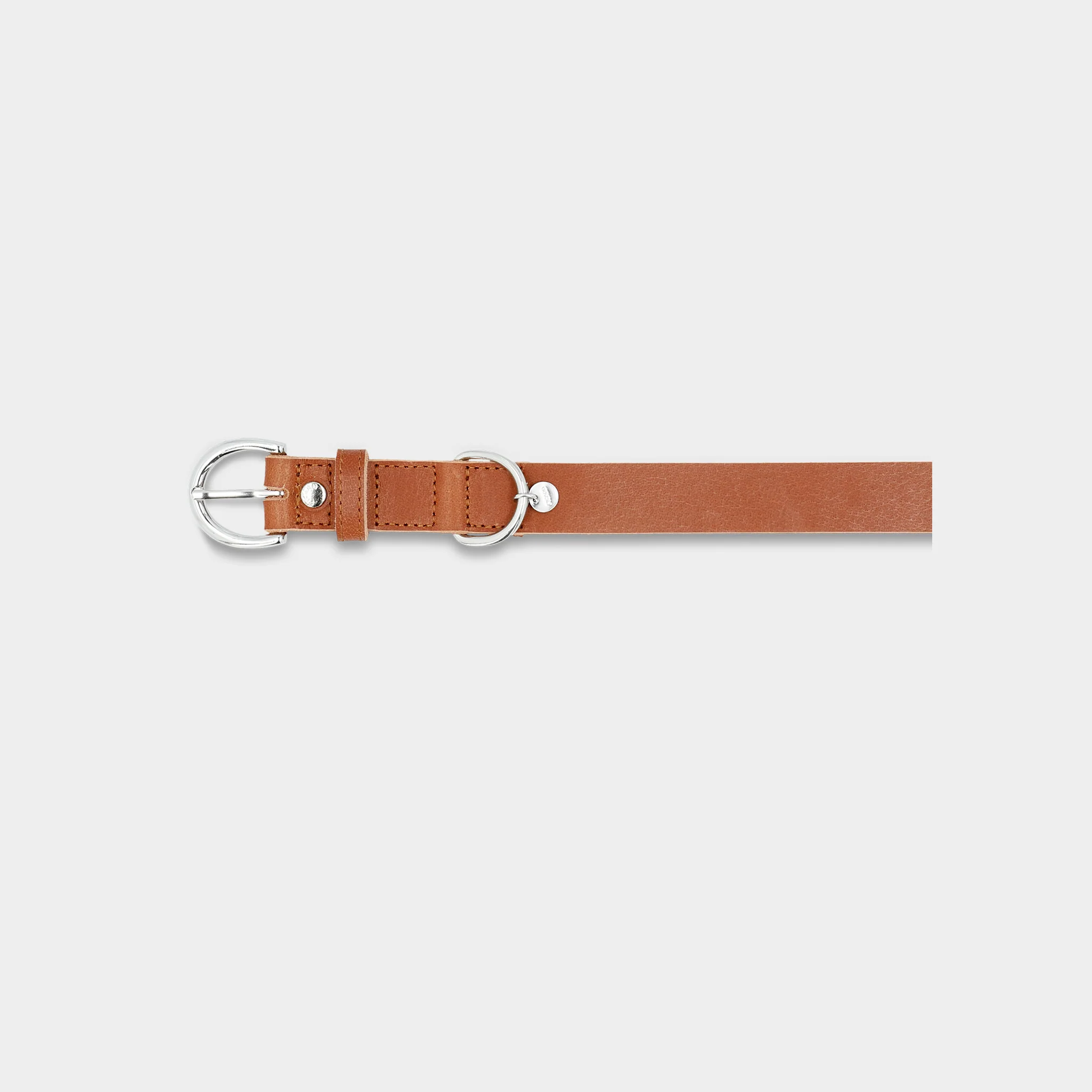 Hundehalsband Dog Collar Strolch Größe M R129 - Image 2