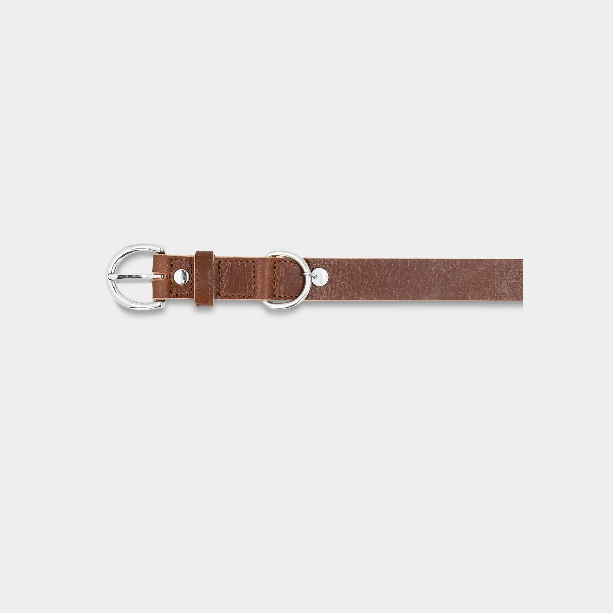 Hundehalsband Dog Collar Strolch Größe M R129 - Image 2