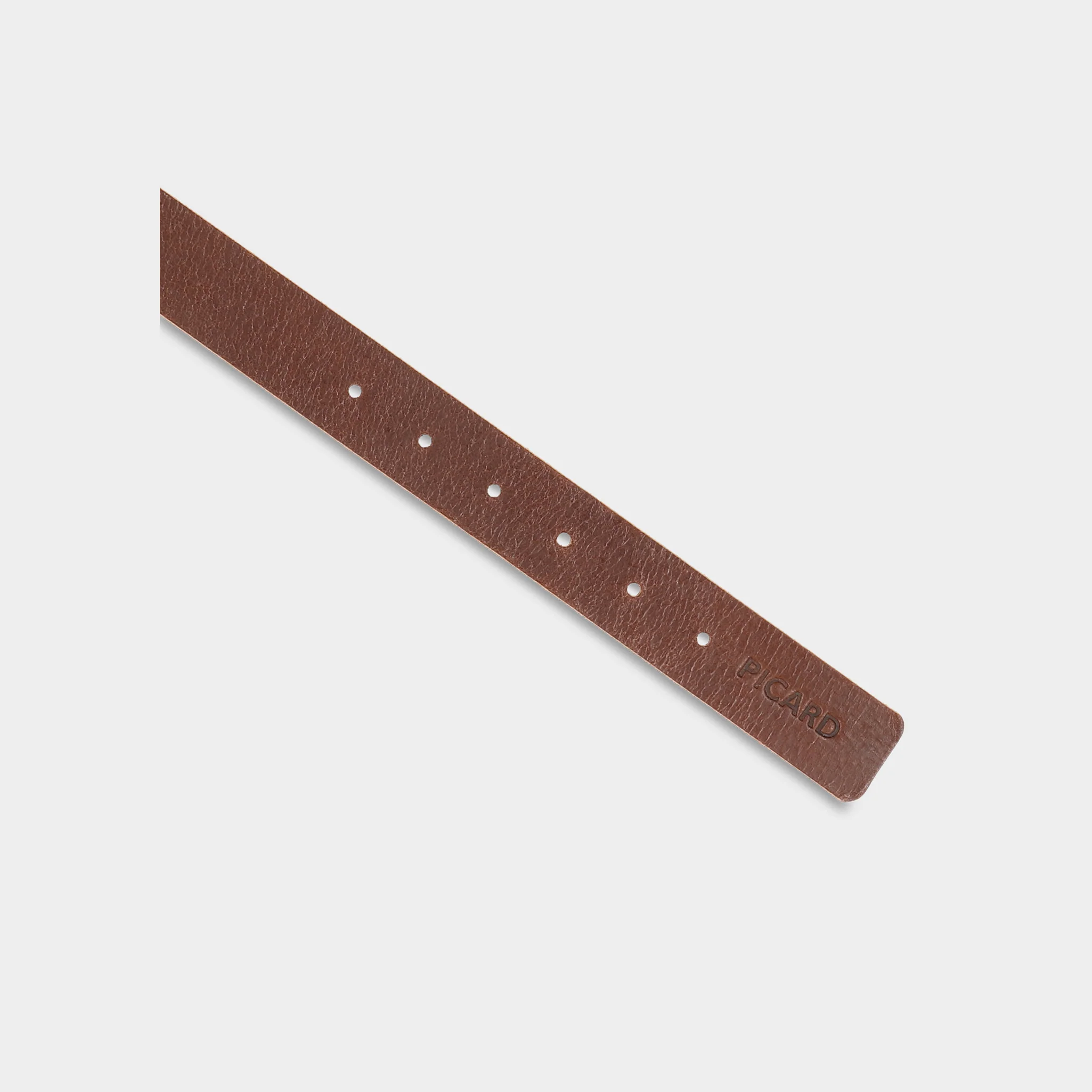 Hundehalsband Dog Collar Strolch Größe M R129 - Image 3