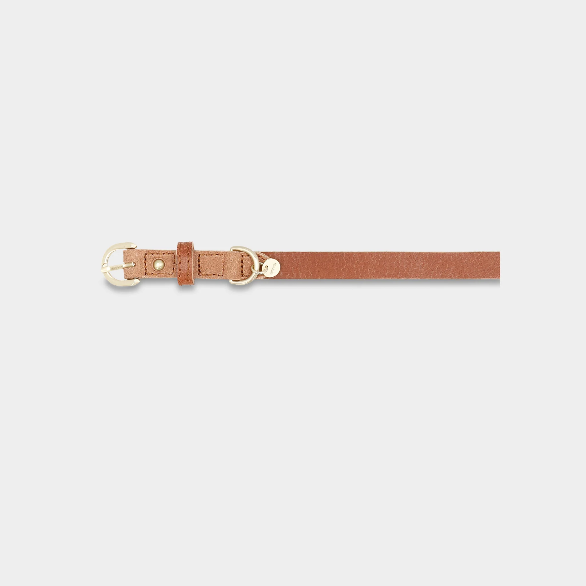 Hundehalsband Dog Collar Susi Größe M R126 - Image 2