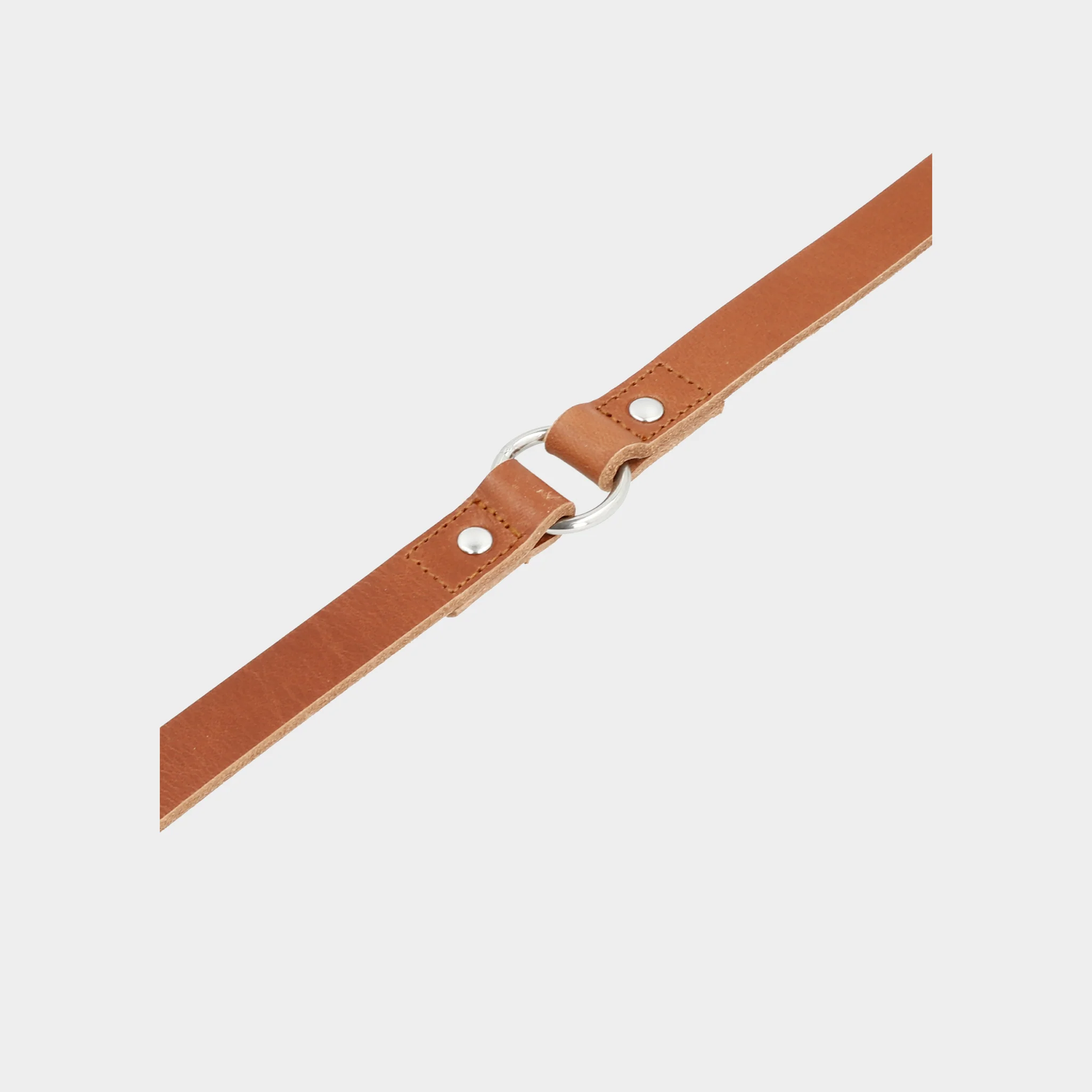 Hundeleine Strolch R127 - Image 2